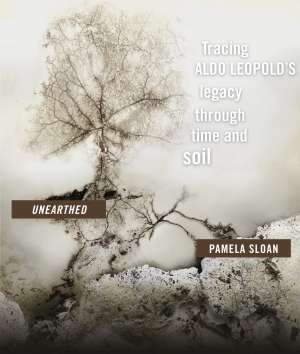 1 pamelasloan_postcard copy (1)mbv.jpg