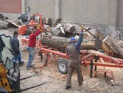 Leopold-Red-Oak-Sawing-(42).jpg