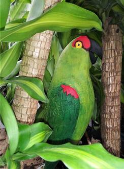 b-Thick-billed-Parrot-ifina.jpg